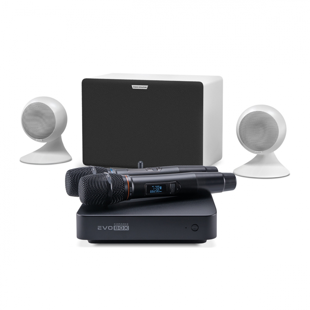 караоке-комплект EVOBOX Classic + EvoSound Sphere 2.1 в Тольятти