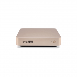 EVOBOX с микрофонами в Тольятти